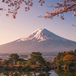 Japan Tour